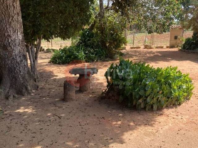Chácara para Venda em São Pedro da Aldeia - 5