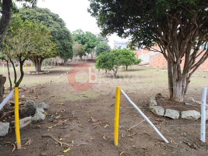 Terreno à venda, 360m² - Foto 4