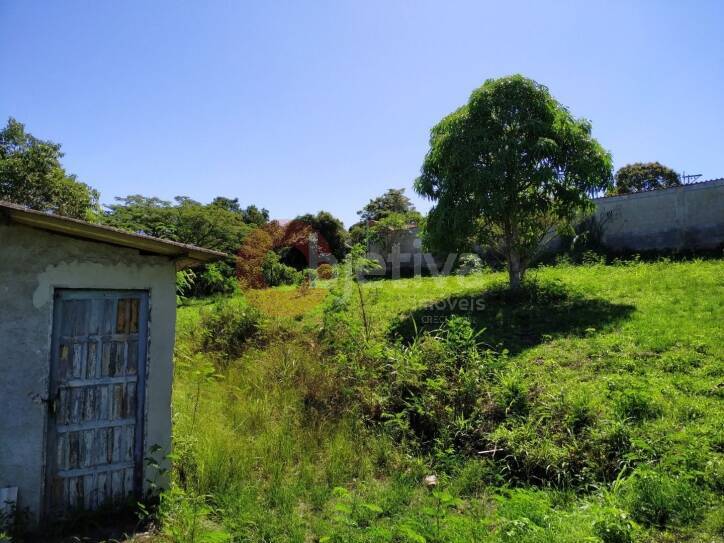 Terreno à venda, 2000m² - Foto 6