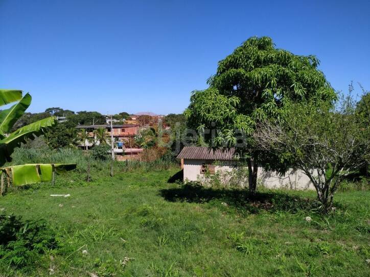 Terreno à venda, 2000m² - Foto 10