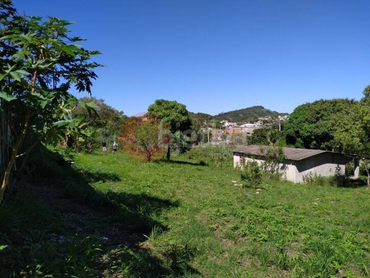 Terreno à venda, 2000m² - Foto 13