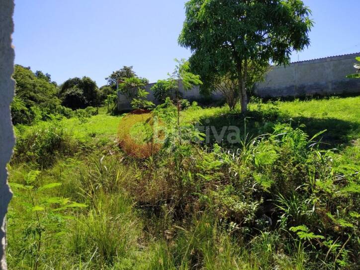 Terreno à venda, 2000m² - Foto 16