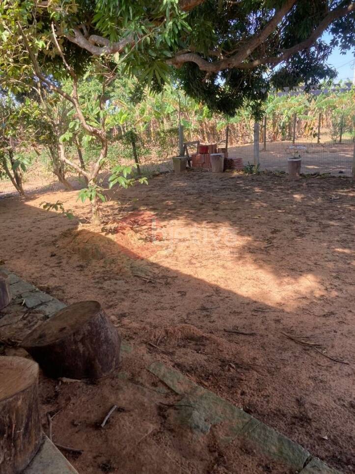 Fazenda à venda com 2 quartos, 100m² - Foto 6