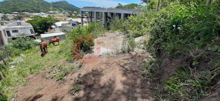 Terreno à venda, 600m² - Foto 1